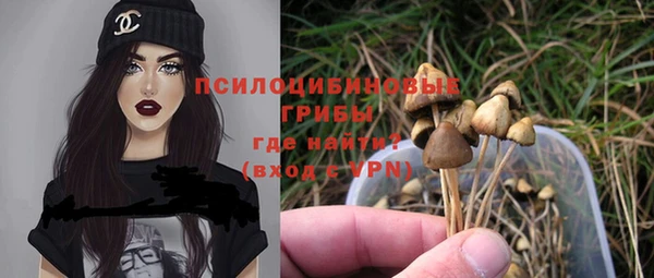 соль ск Беломорск
